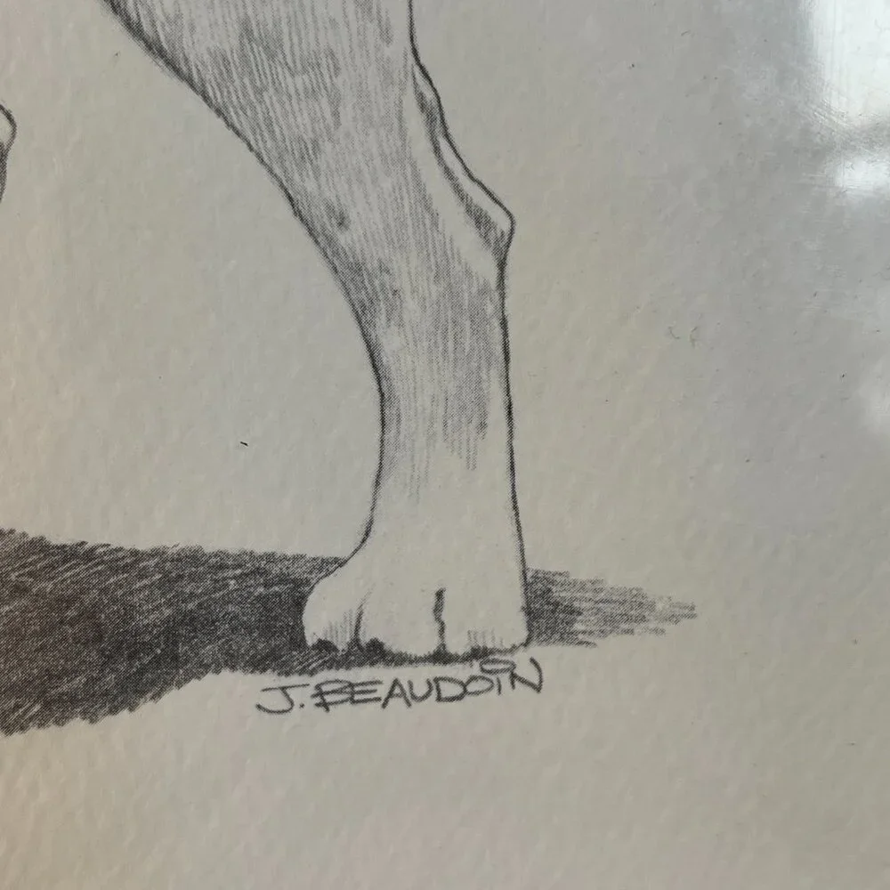 2/$50 🌸 Vintage 1974 Labrador Sketch - Picture 7 of 8